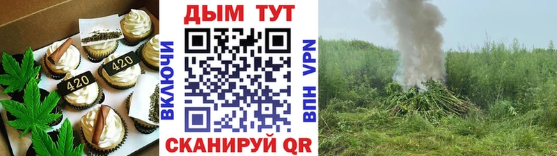mega ТОР  нарко площадка какой сайт  Ревда  Еда ТГК конопля  продажа наркотиков 
