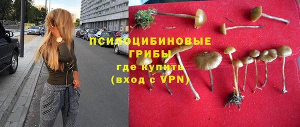 мяу мяу мука Алексеевка