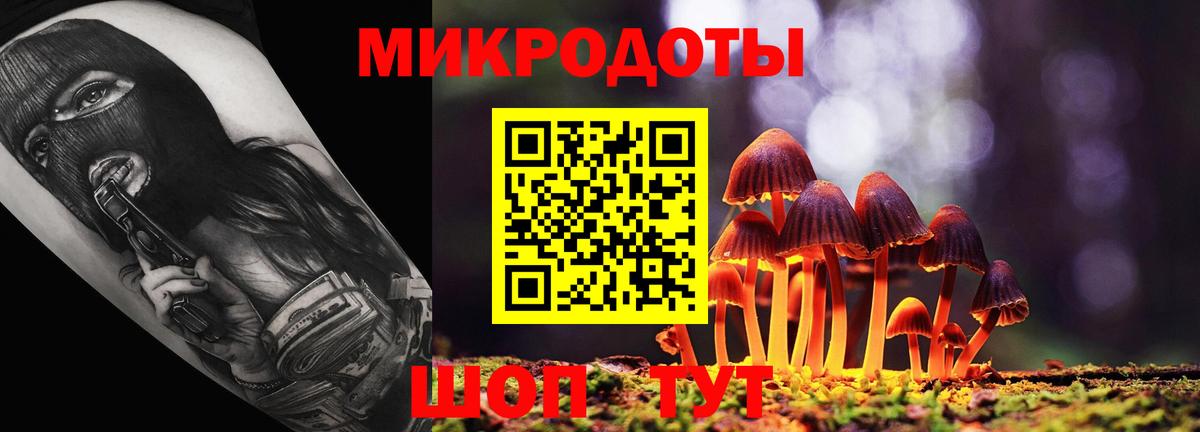 Псилоцибиновые грибы Cubensis  Вход с VPN  Ревда 
